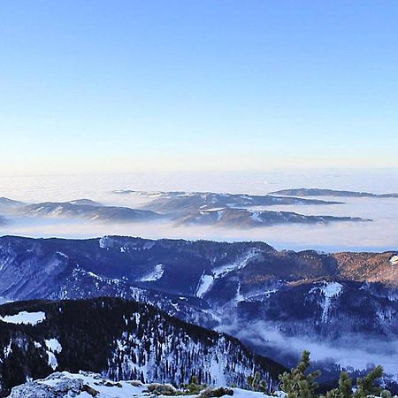 Feriendorf Am Feuerkogel, Ебензее Екстериор снимка